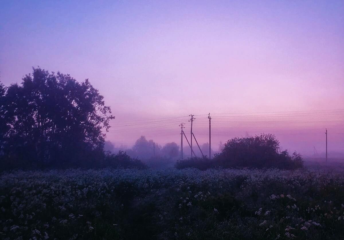 老妇人抢分窗口期，从比萨开始
